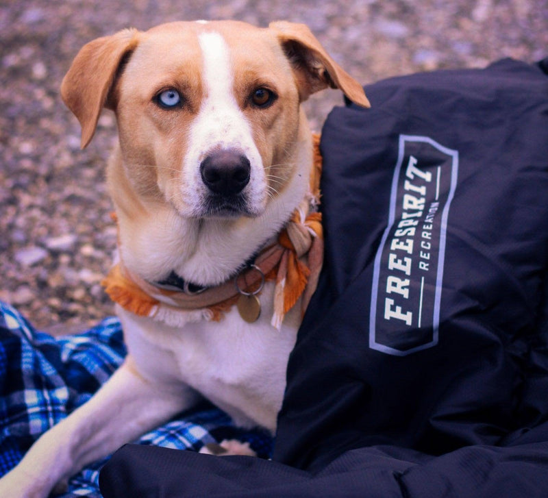 Load image into Gallery viewer, Freespirit Recreation Sleeping Bag