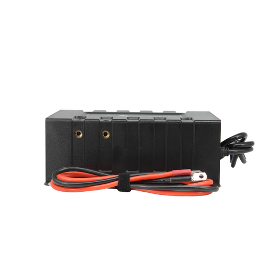 Lion Energy Savanna 45A Battery Charger