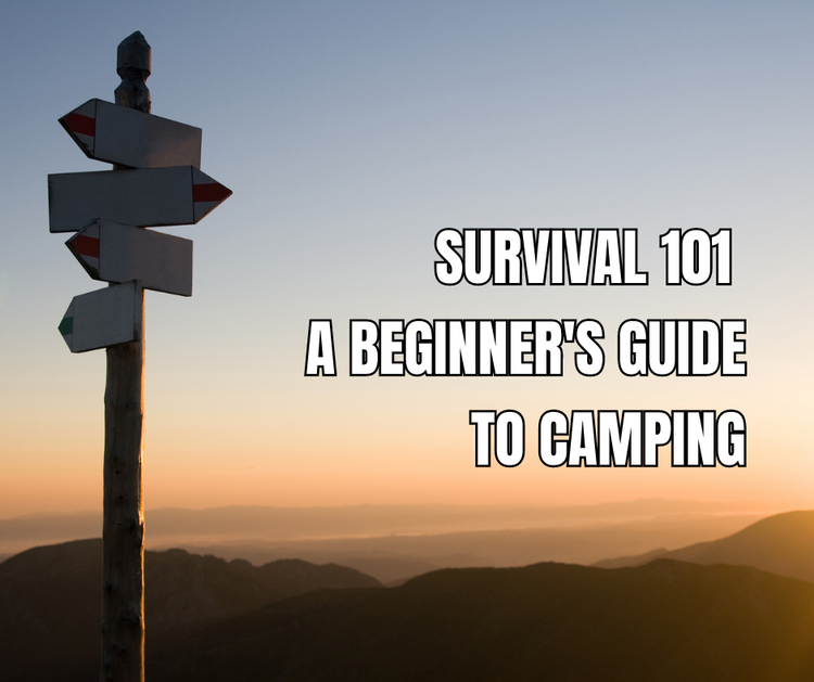 Survival 101: A Beginner's Guide to Camping