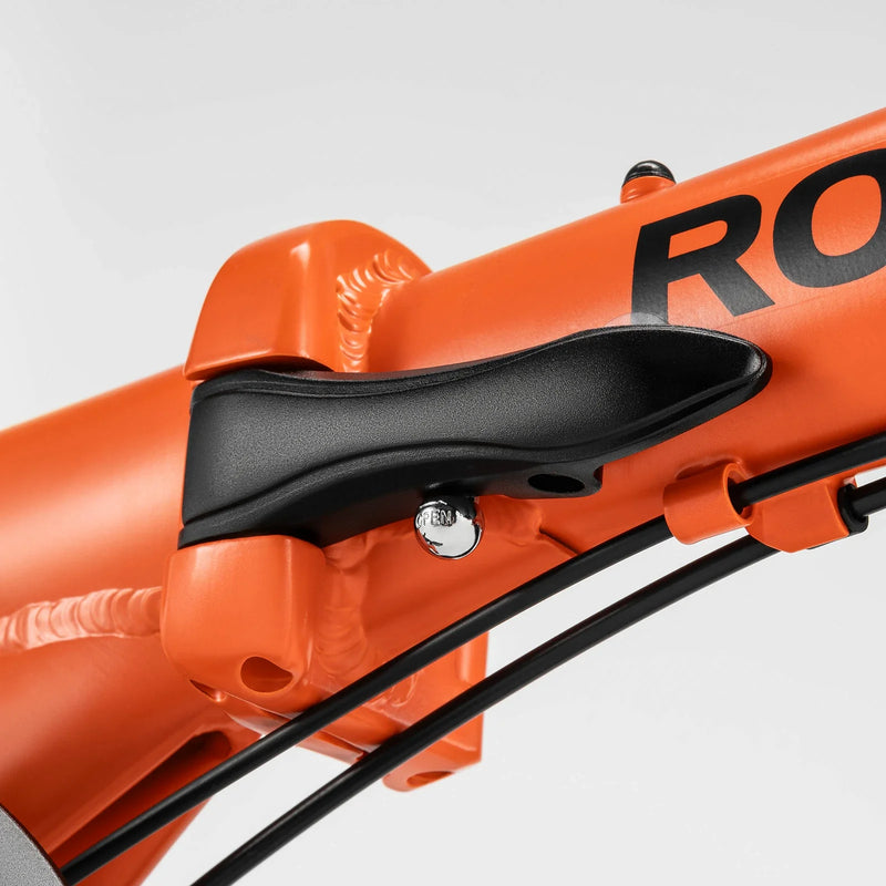 Load image into Gallery viewer, ACS 16-Inch Folding Bike
