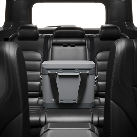 Dometic Recon Softside ZL Medium, Gray 17L