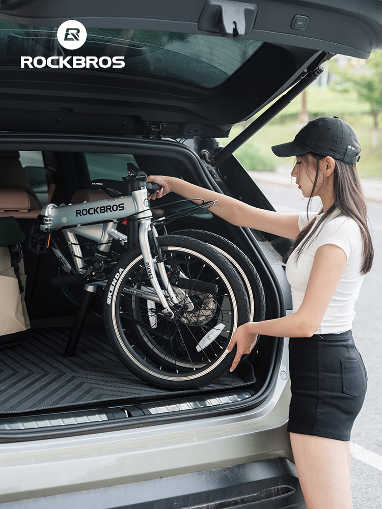 Load image into Gallery viewer, MBS 20-Inch Folding Bike
