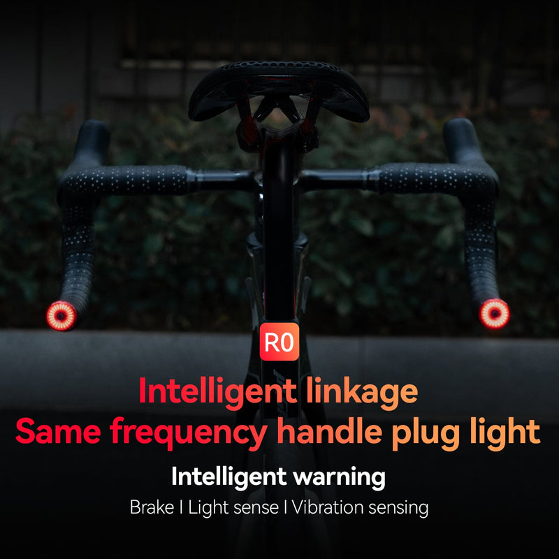Load image into Gallery viewer, R0 Tail Light Brake sensor USB Handle Plug Smart Synchronization
