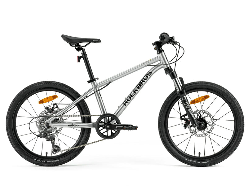 Load image into Gallery viewer, Darwin III 20-Inch Kids Bike
