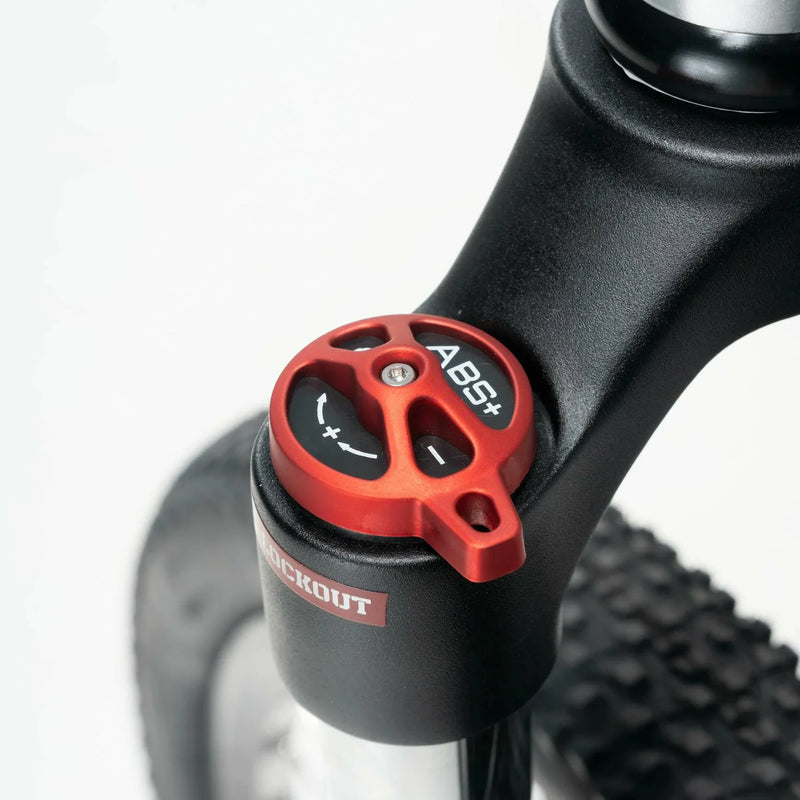 Load image into Gallery viewer, Darwin V 26-Inch Mountain Bike

