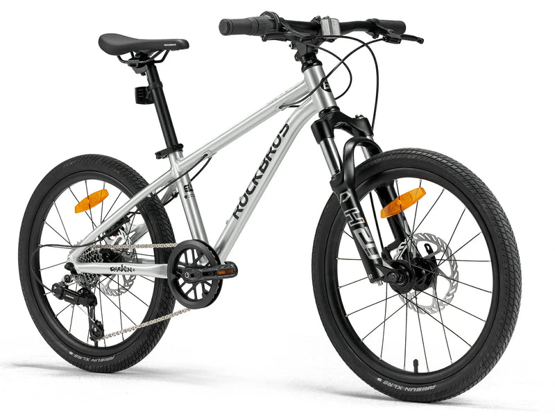 Load image into Gallery viewer, Darwin III 20-Inch Kids Bike
