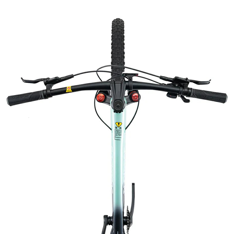 Load image into Gallery viewer, MT600 -  Mountain Bike
