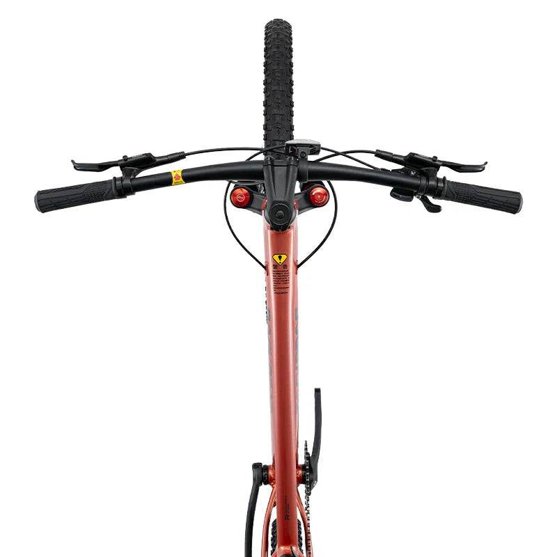 Load image into Gallery viewer, MT600 -  Mountain Bike
