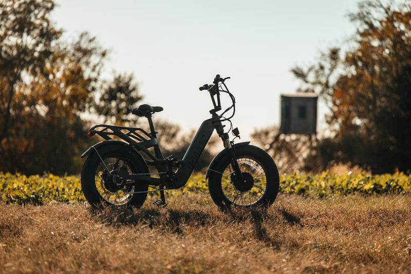 Load image into Gallery viewer, Revolt AWD Step Thru Bike
