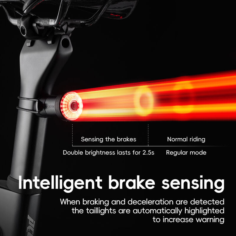 Load image into Gallery viewer, Q0 Tail Light Brake sensor USB-C
