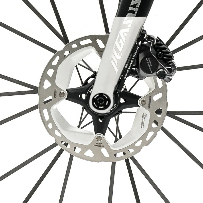 Load image into Gallery viewer, PGZ - Carbon Fiber Road Bike –  Black and White
