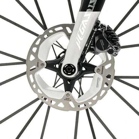 PGZ - Carbon Fiber Road Bike –  Black and White