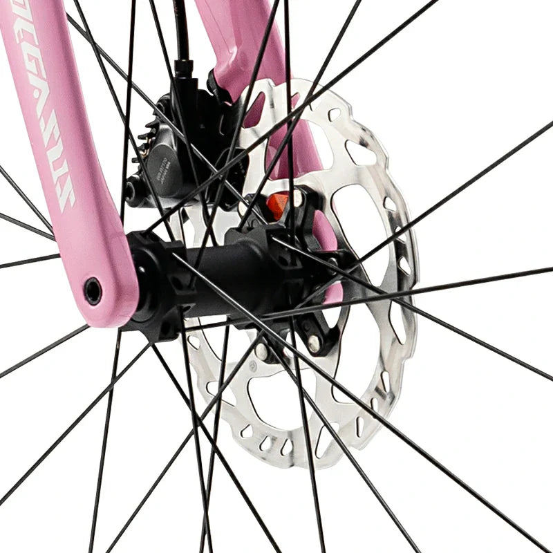 Load image into Gallery viewer, PGZ - Carbon Fiber Road Bike – Pink
