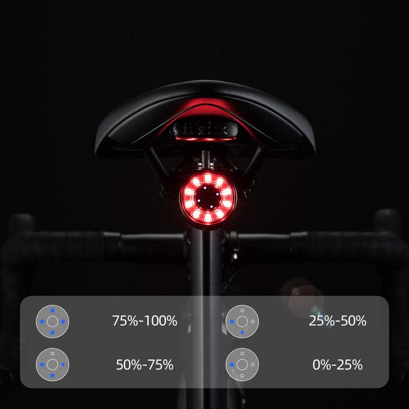 Load image into Gallery viewer, Q1 Tail Light USB with 7 Lighting Colors
