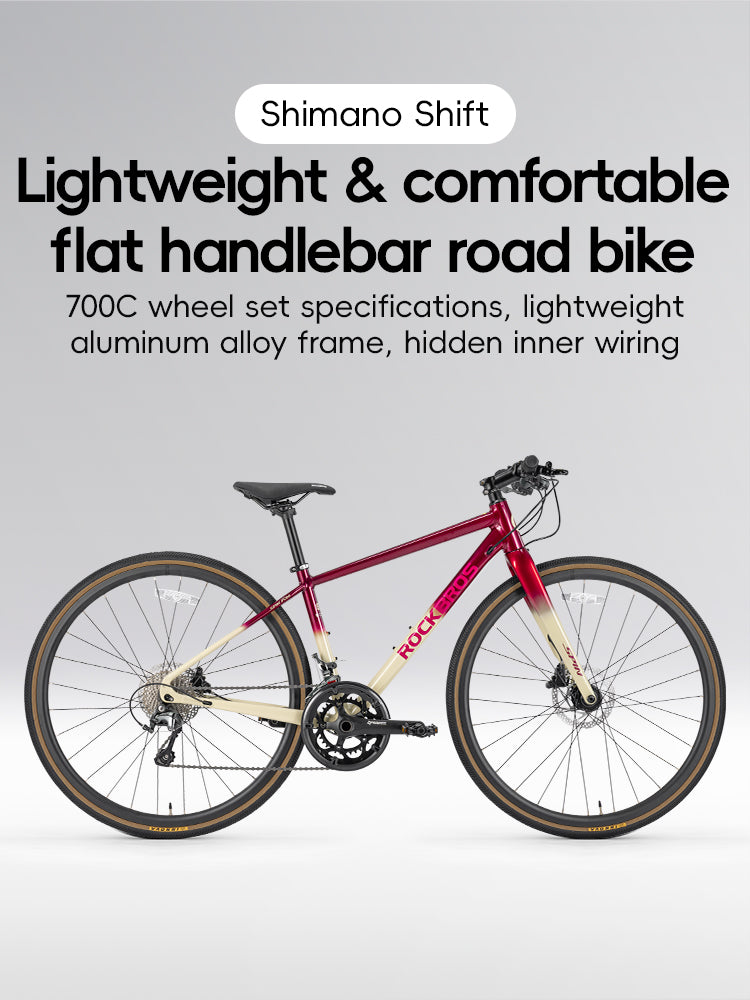 Load image into Gallery viewer, SPIN-P2M Carbon Fiber Fork Aluminum Frame Road Bike
