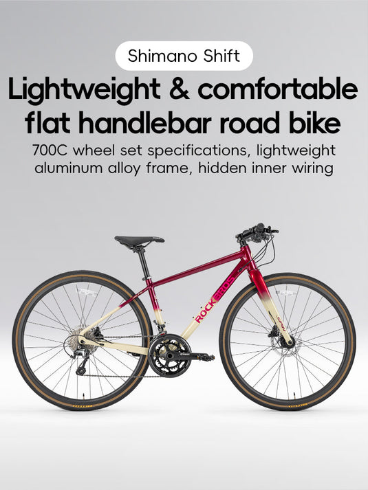 SPIN-P2M Carbon Fiber Fork Aluminum Frame Road Bike