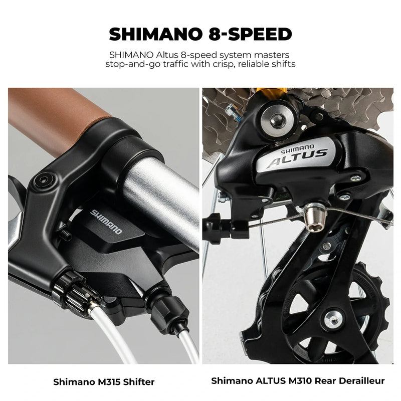 Load image into Gallery viewer, VDS 20-Inch Folding Bike
