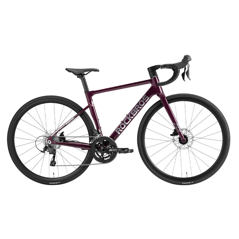 Load image into Gallery viewer, Gale - Aluminum Road Bike
