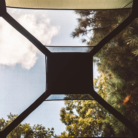 Interior view of Gazelle Tents T4 Hub Tent showing the roof and trees above through the mesh window.