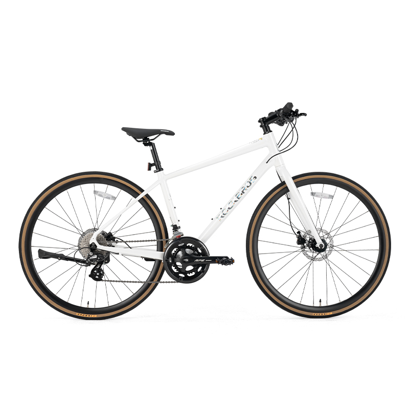 Load image into Gallery viewer, RIDA-P2E Aluminum Road Bike
