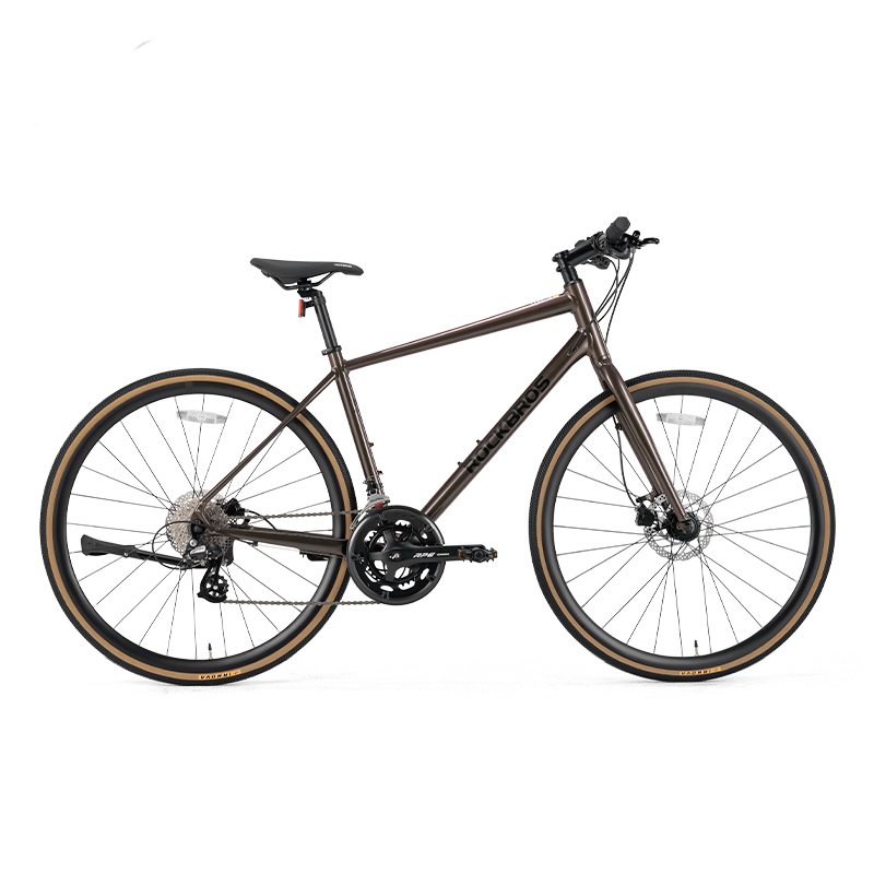 Load image into Gallery viewer, RIDA-P2E Aluminum Road Bike
