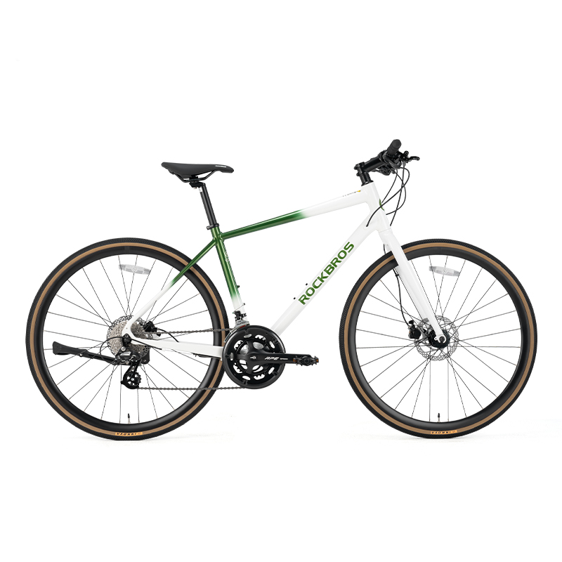 Load image into Gallery viewer, RIDA-P2E Aluminum Road Bike
