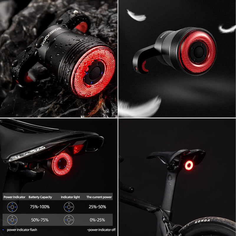 Load image into Gallery viewer, Q5 Tail Light  Brake sensor USB
