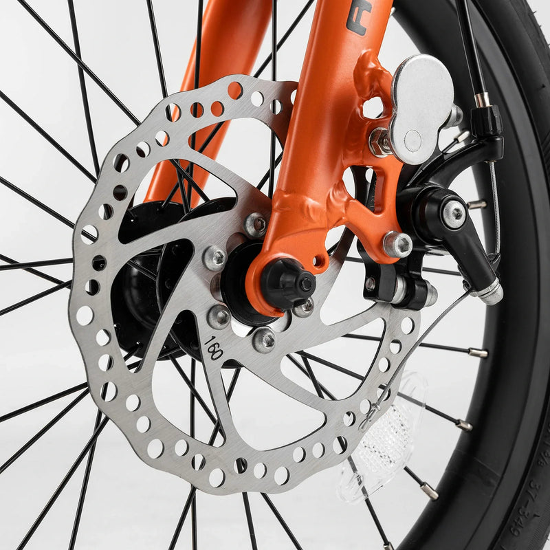 Load image into Gallery viewer, ACS 16-Inch Folding Bike
