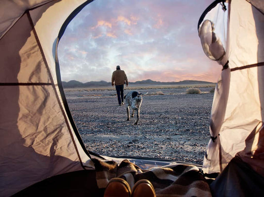 View from inside the Front Runner Flip Pop Tent at sunrise with a person and a dog walking outside in the desert landscape.