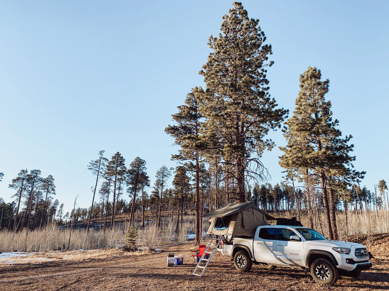 Load image into Gallery viewer, BillieBars Toyota Tacoma (2005-2025), Low Profile Bed Rack
