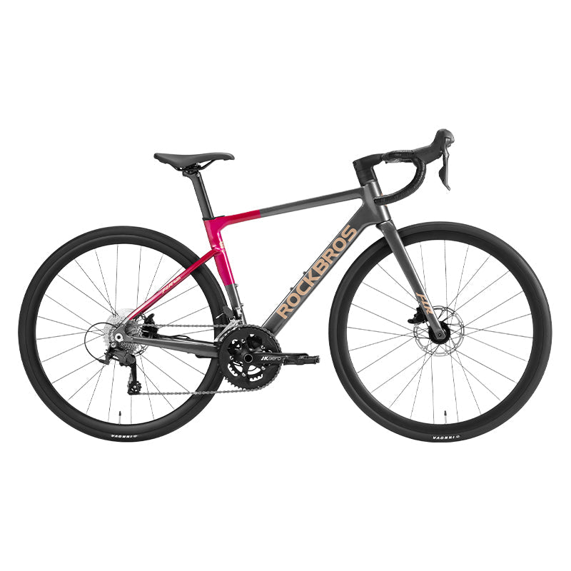 Load image into Gallery viewer, Gale - Aluminum Road Bike
