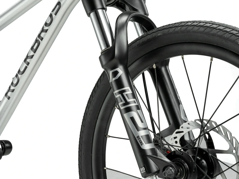 Load image into Gallery viewer, Darwin III 20-Inch Kids Bike
