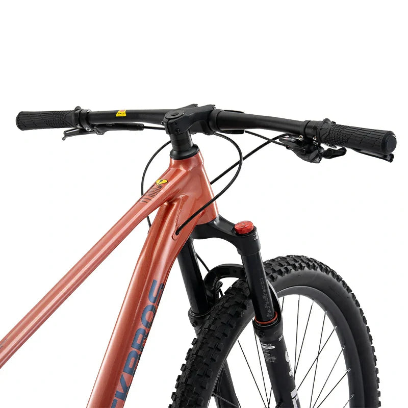 Load image into Gallery viewer, MT600 -  Mountain Bike
