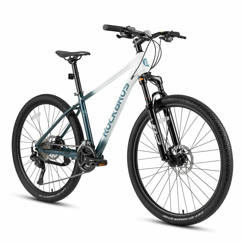 Load image into Gallery viewer, MT300-Mountain Bike
