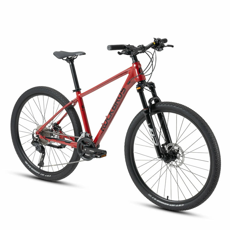 Load image into Gallery viewer, MT300-Mountain Bike
