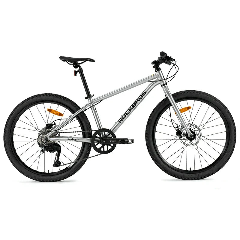 Load image into Gallery viewer, Darwin IV 24-Inch Kids Bike
