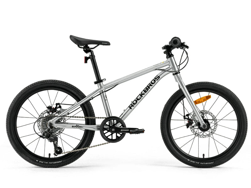 Load image into Gallery viewer, Darwin III 20-Inch Kids Bike
