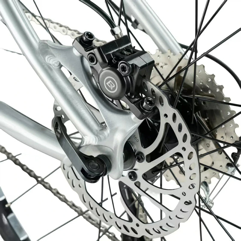 Load image into Gallery viewer, Darwin V 26-Inch Mountain Bike
