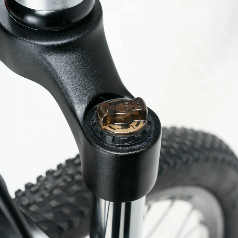 Load image into Gallery viewer, Darwin V 26-Inch Mountain Bike
