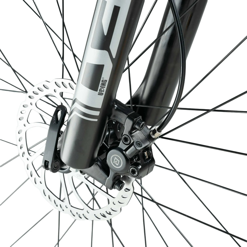 Load image into Gallery viewer, Darwin V 26-Inch Mountain Bike
