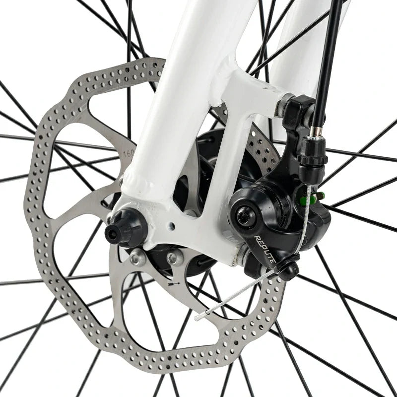 Load image into Gallery viewer, Teen 22-Inch Road Bike

