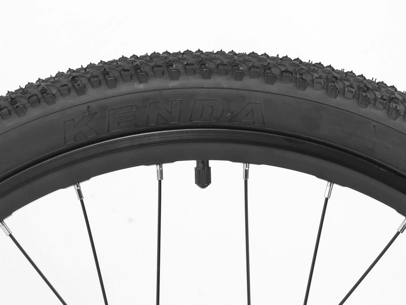 Load image into Gallery viewer, Darwin IV 24-Inch Kids Bike
