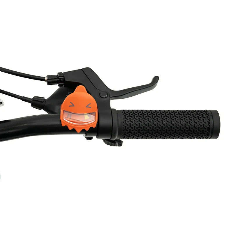 Load image into Gallery viewer, Future Star - Kids Bike
