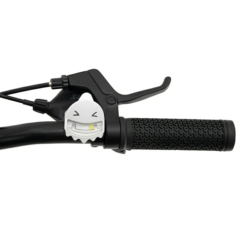 Load image into Gallery viewer, Future Star - Kids Bike
