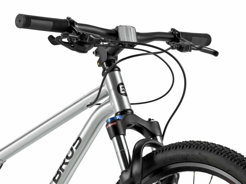 Load image into Gallery viewer, Darwin IV 24-Inch Kids Bike
