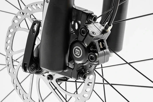 Darwin IV 24-Inch Kids Bike
