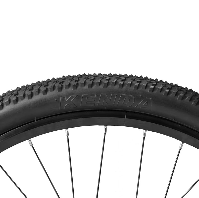 Load image into Gallery viewer, Darwin V 26-Inch Mountain Bike
