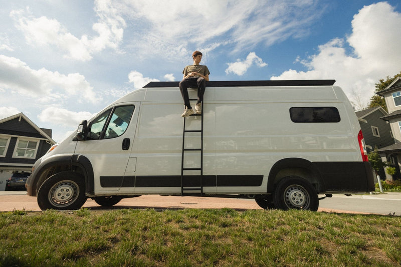 Load image into Gallery viewer, Promaster Stealth+ Side Ladder
