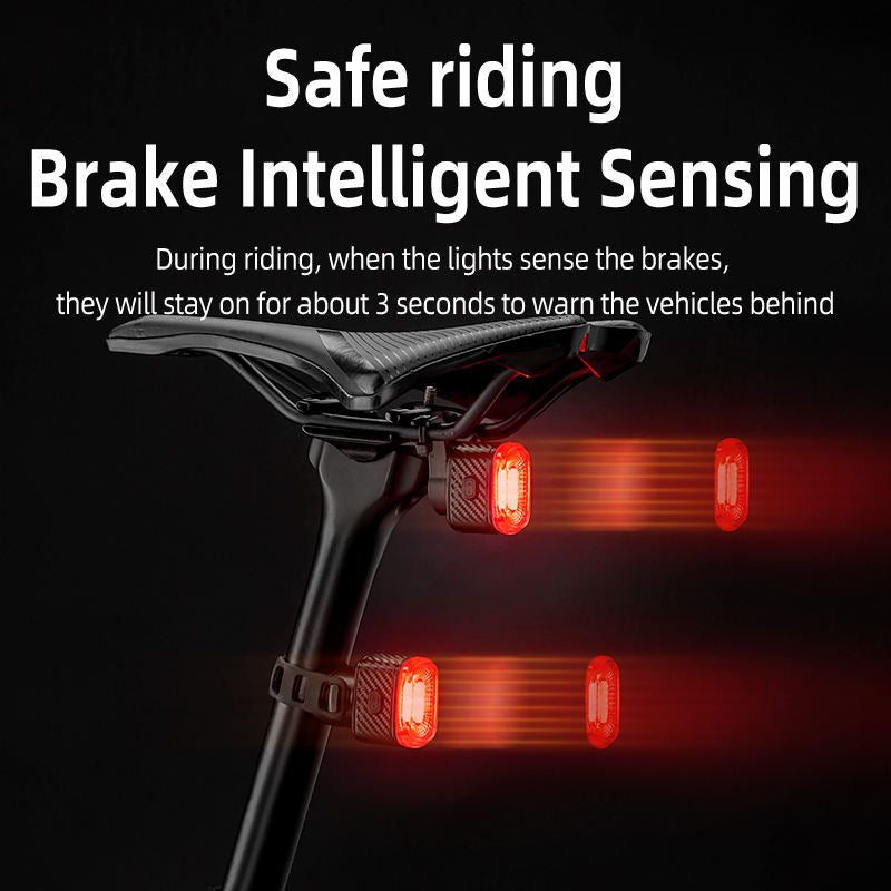 Load image into Gallery viewer, Q2S Tail Light Brake Sense USB-C
