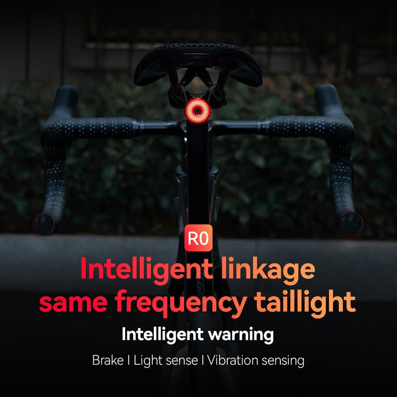 Load image into Gallery viewer, R0 Tail Light Brake sensor USB Handle Plug Smart Synchronization
